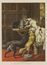 Weihnachtstag, die Ungebetenen